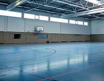 Спортивные покрытия